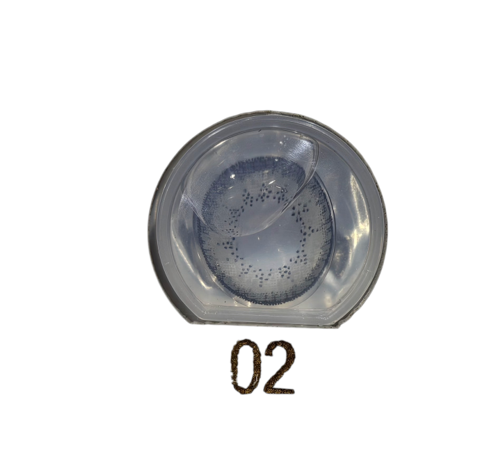لنز رنگی بیوتی دیلی رنگ طوسی شماره02 - Image 4
